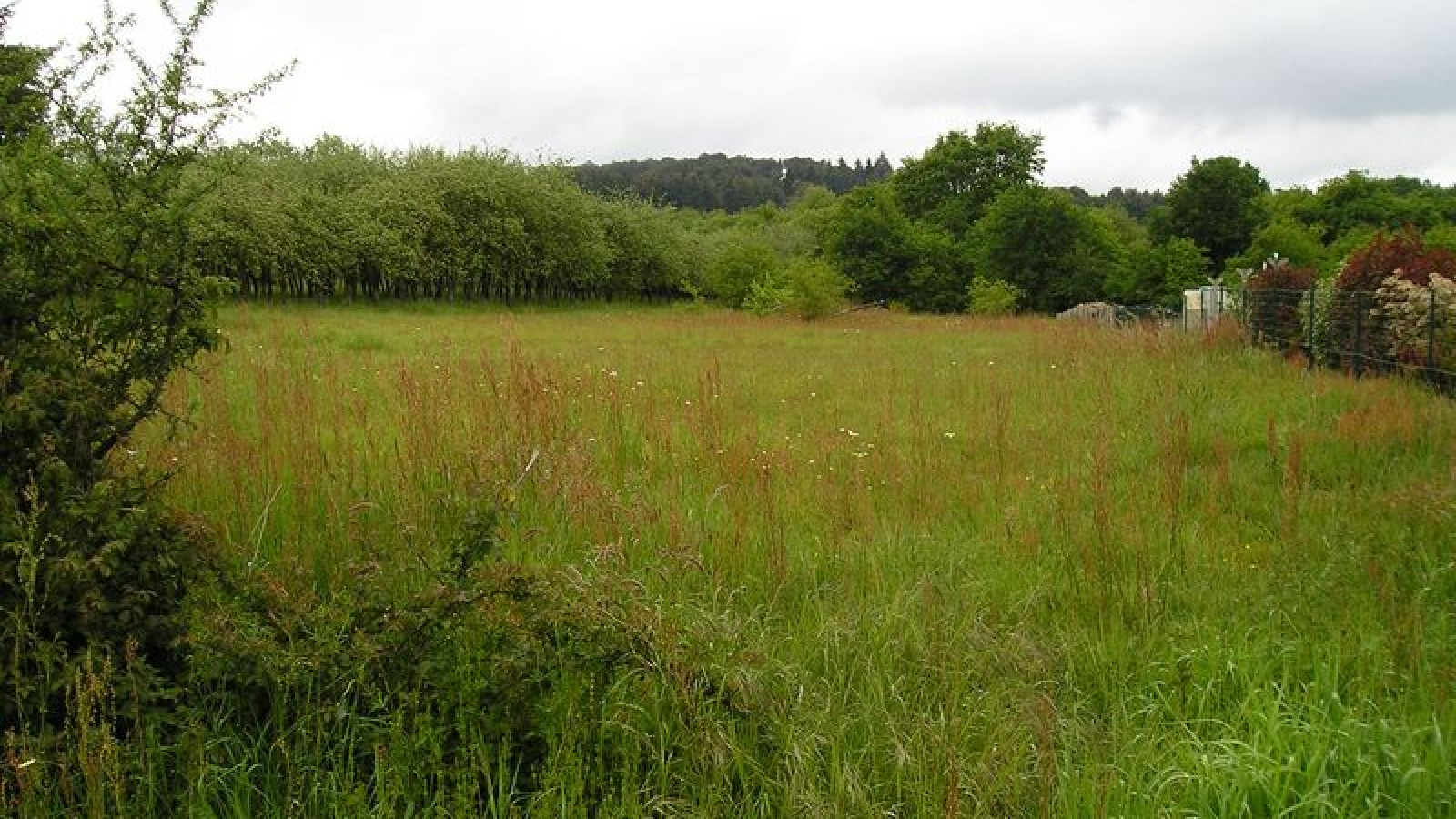 Terrain constructible de 1320m2 à Pontchâteau
