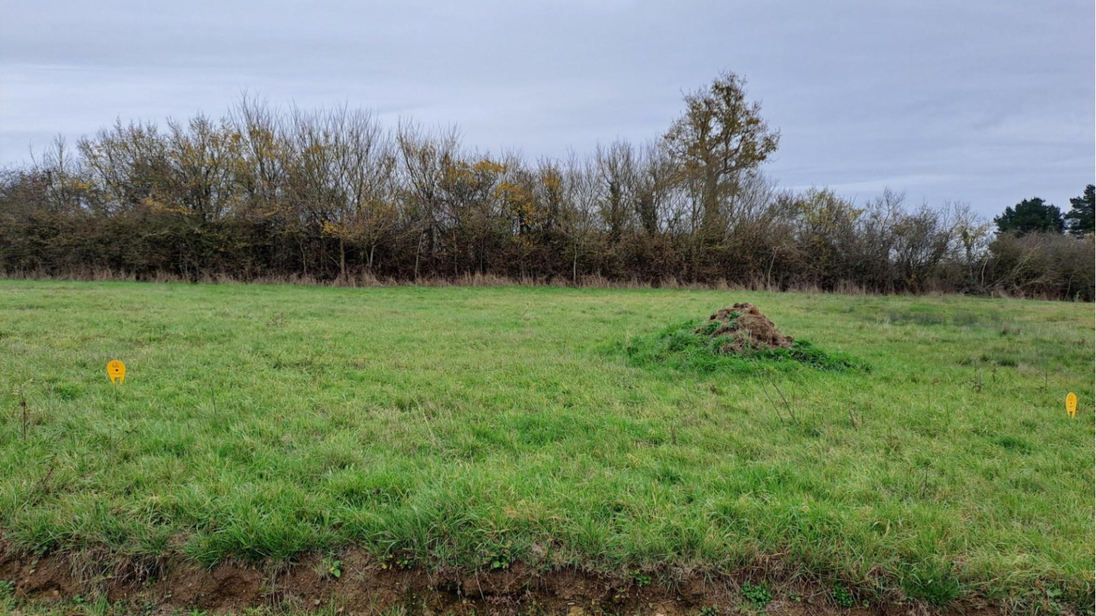 Terrain constructible de 464m2 à Ingrandes-le-Fresne-sur-Loire