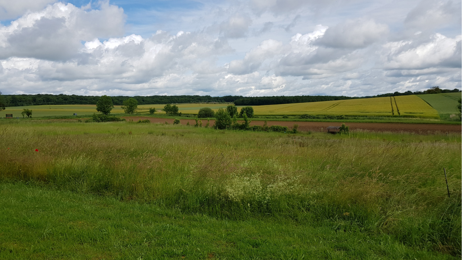 Terrain constructible de 583m2 à Chambeire