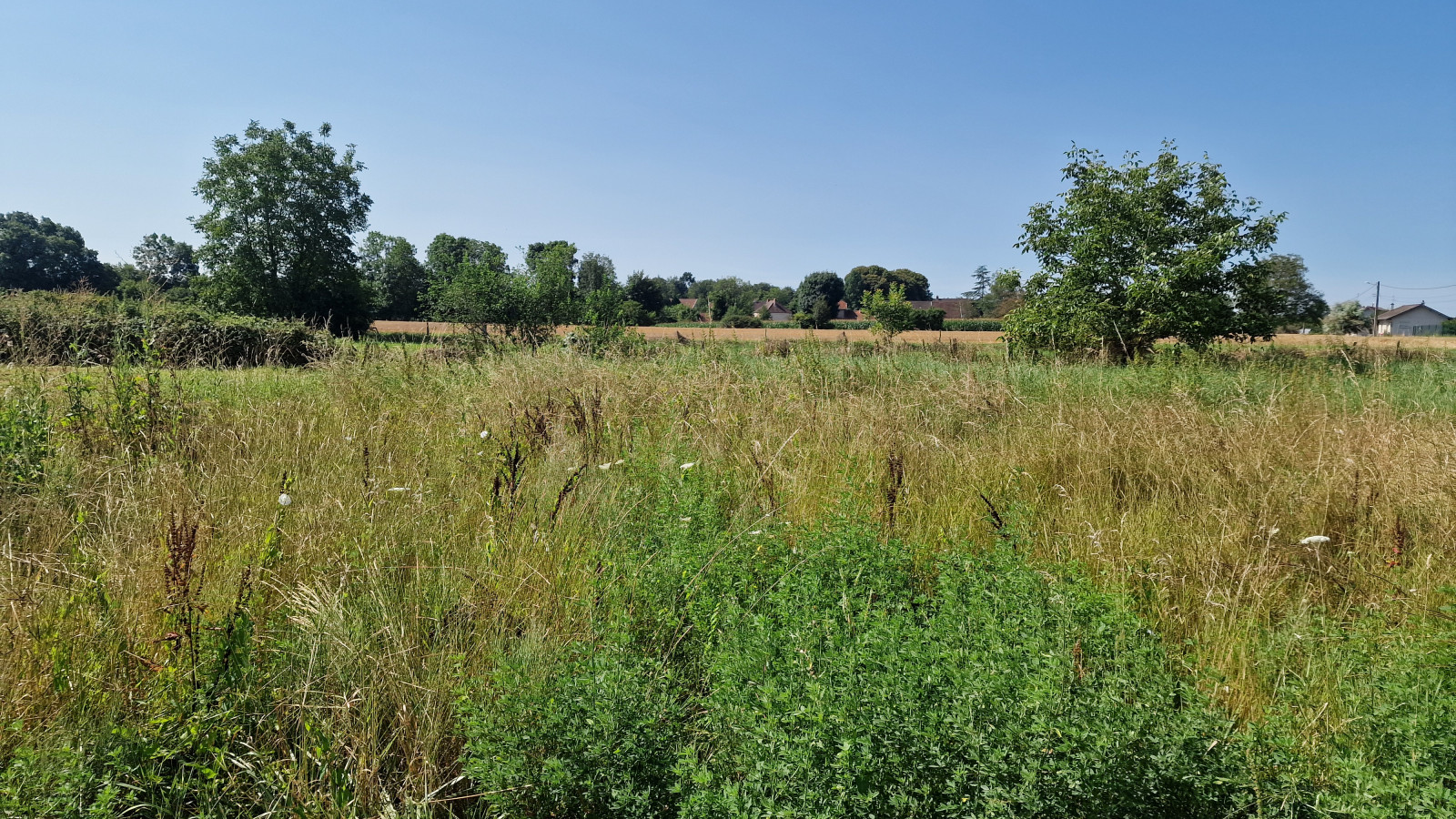 Terrain constructible de 1198m2 à Essertenne-et-Cecey