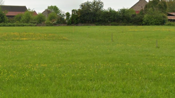 Image1.png