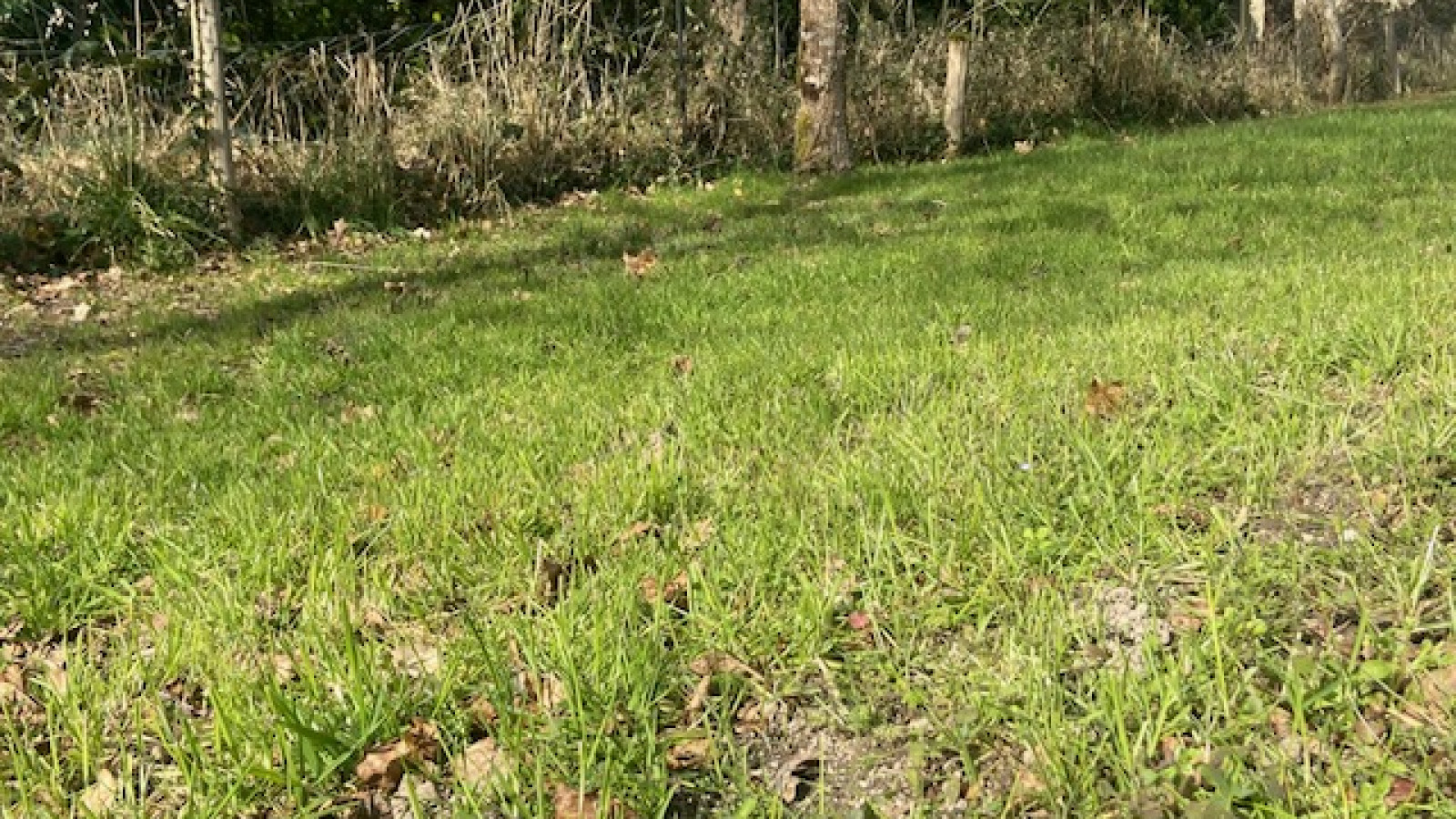 Terrain constructible de 780m2 à Pontchâteau