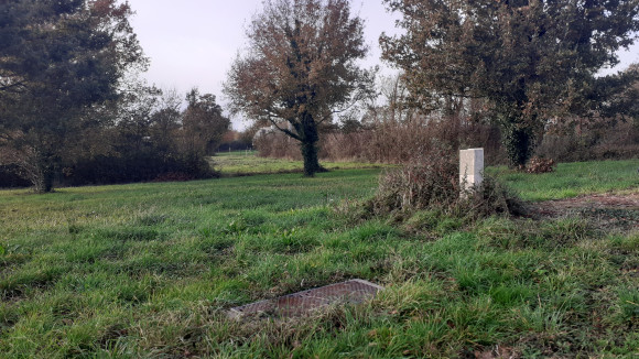 20201110_160444.jpg