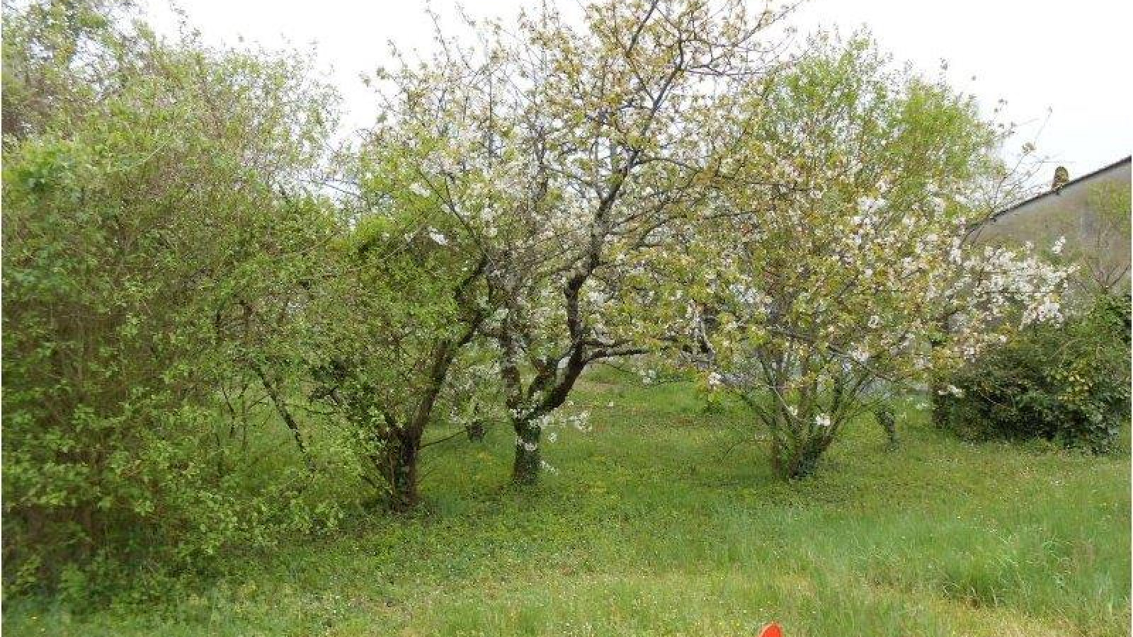 Terrain constructible de 353m2 à Manthelan