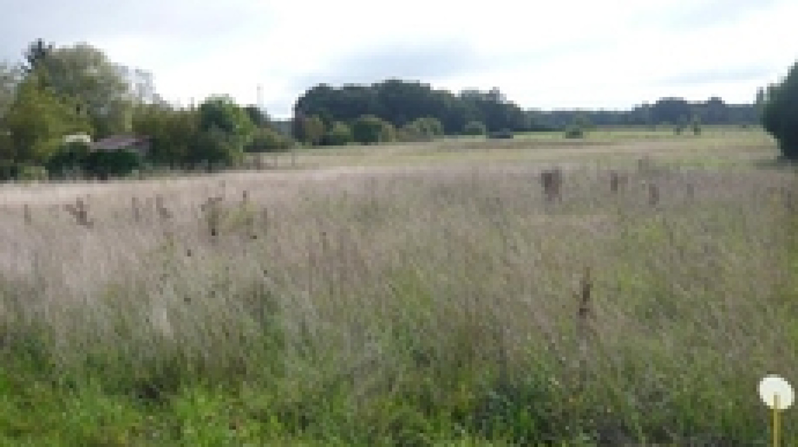 Terrain constructible de 920m2 à Chevillon-sur-Huillard