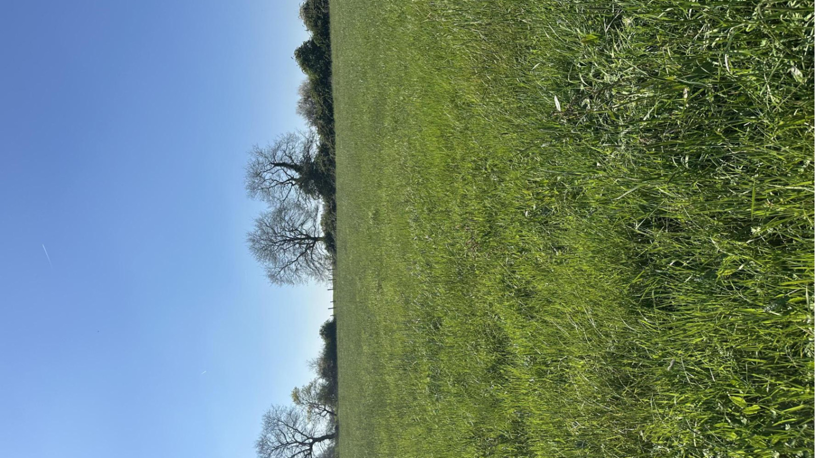Terrain constructible de 396m2 à Erdre-en-Anjou