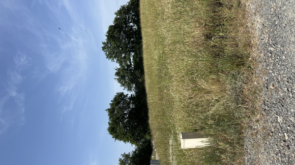 IMG-2825.jpeg