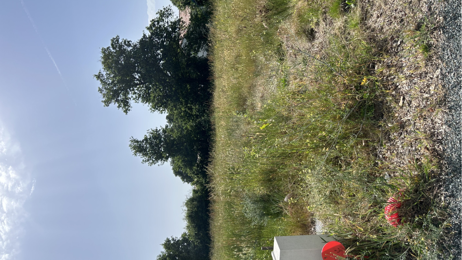 Terrain constructible de 397m2 à Palluau