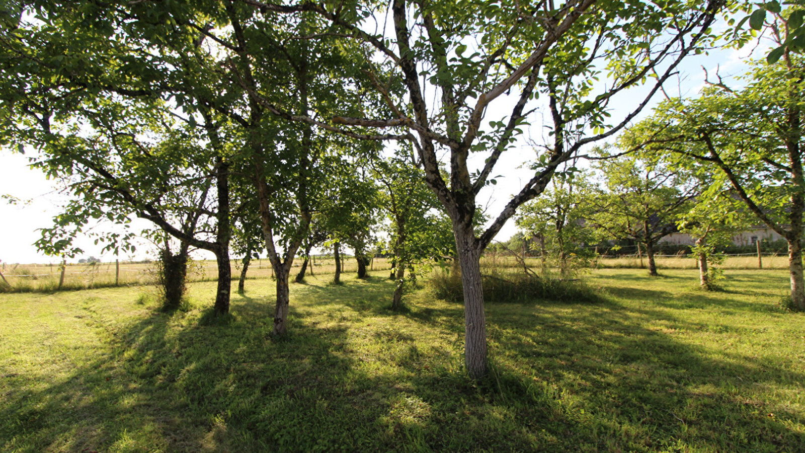 Terrain constructible de 1100m2 à Crucheray