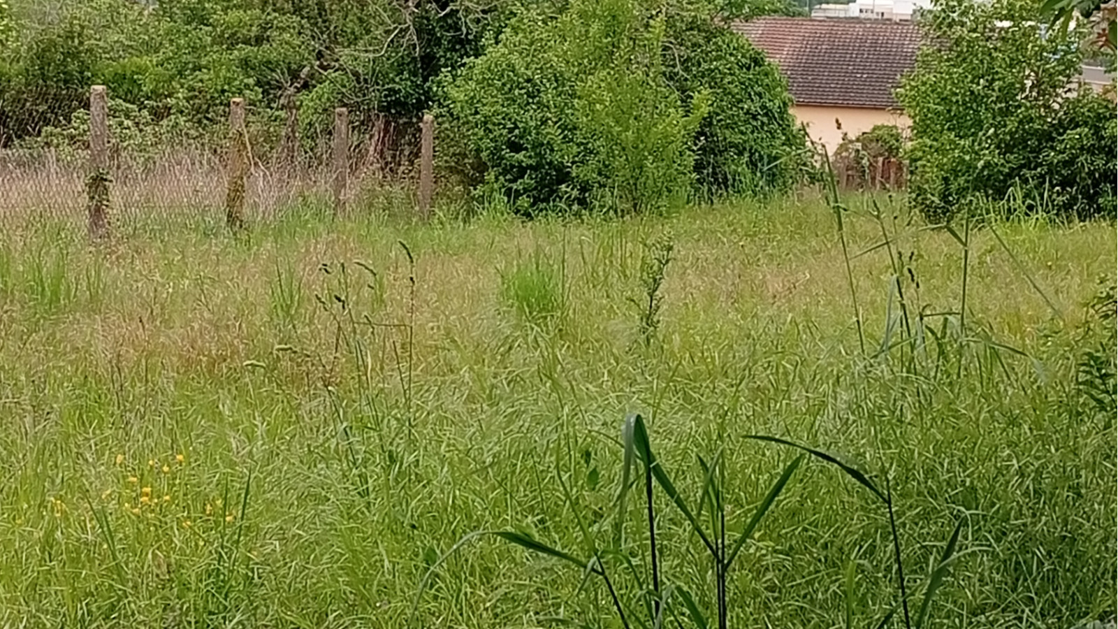 Terrain constructible de 1130m2 à Auxerre