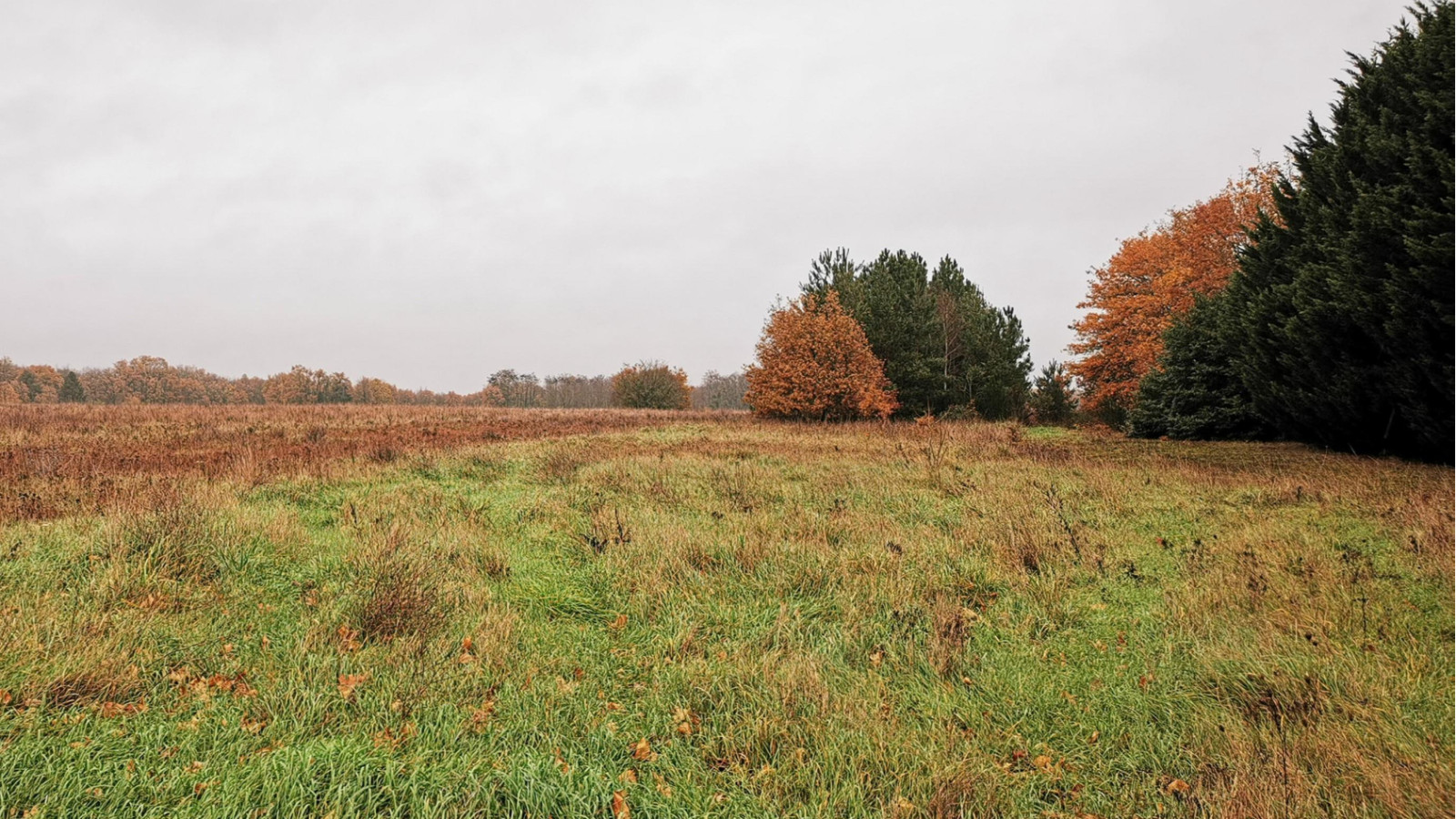 Terrain constructible de 2505m2 à Loches