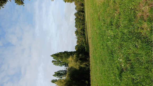 20250916_111554.jpg