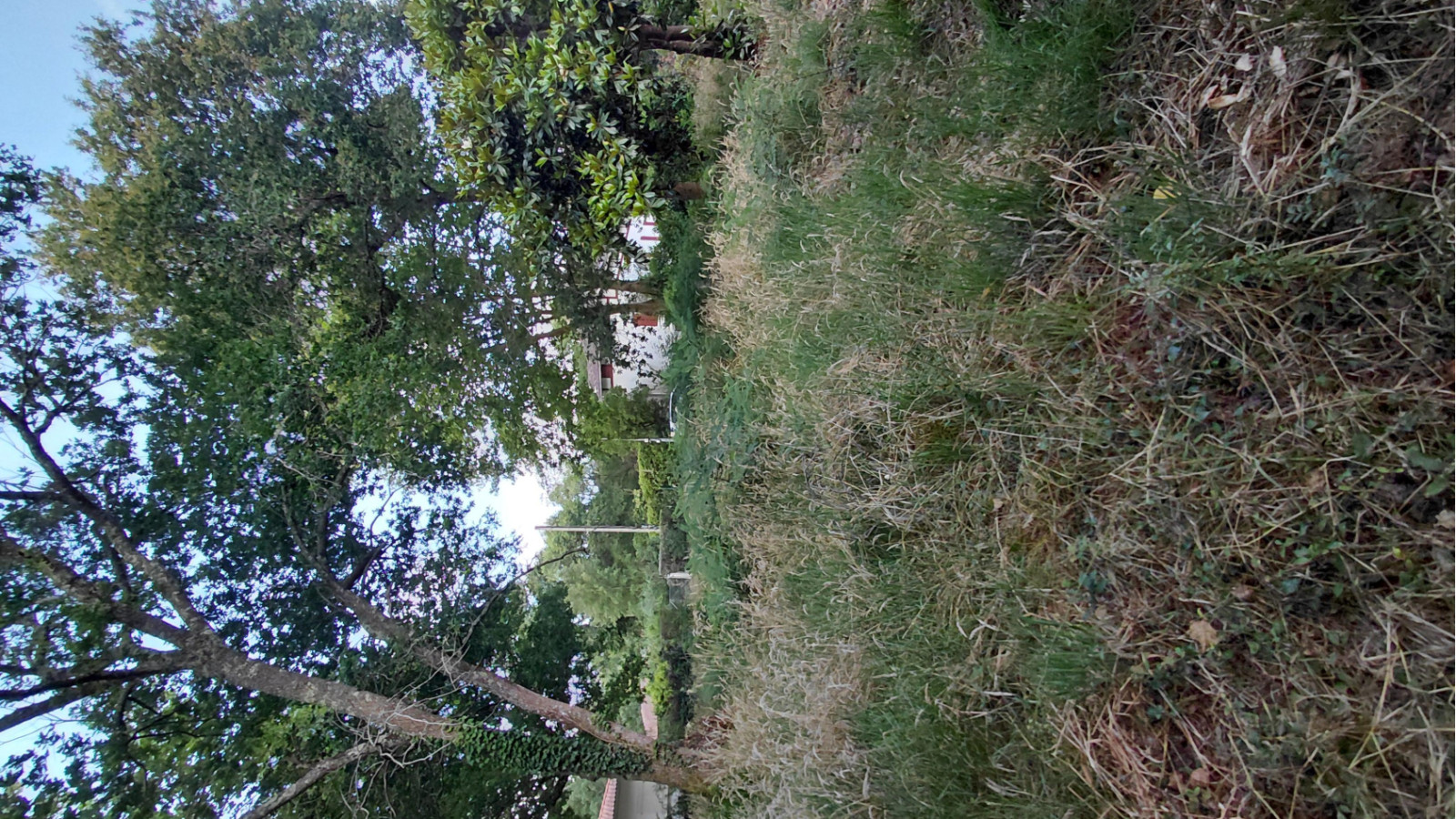 Terrain constructible de 850m2 à Messanges