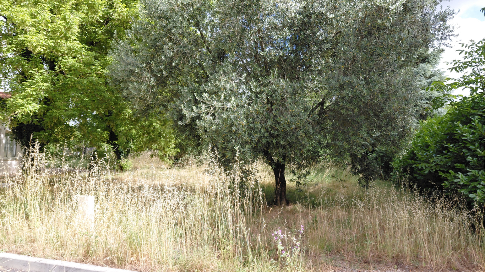 Terrain constructible de 565m2 à Saint-Laurent-d'Arce