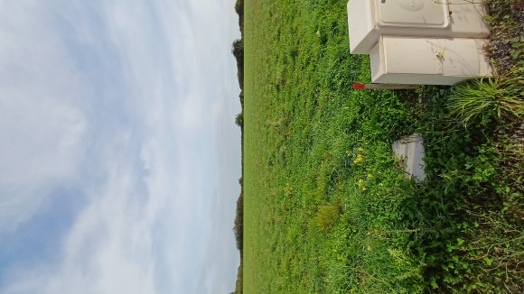 20250916_095642.jpg