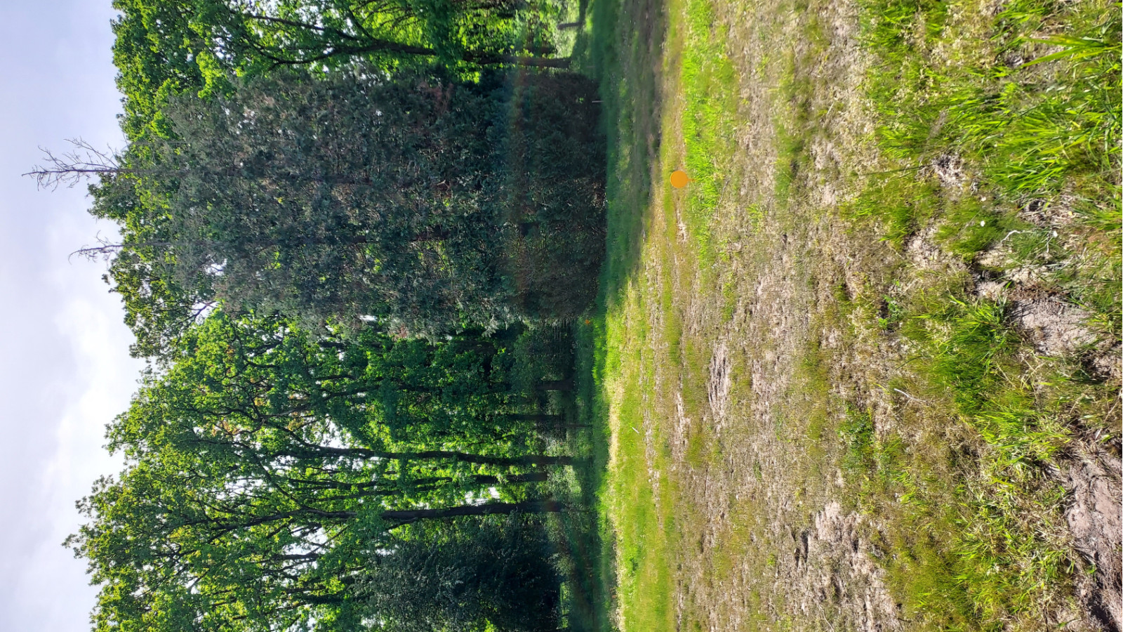 Terrain constructible de 360m2 à Ancenis-Saint-Géréon