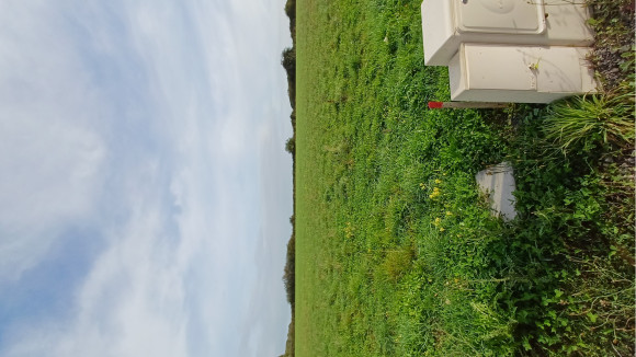 20250916_095642.jpg