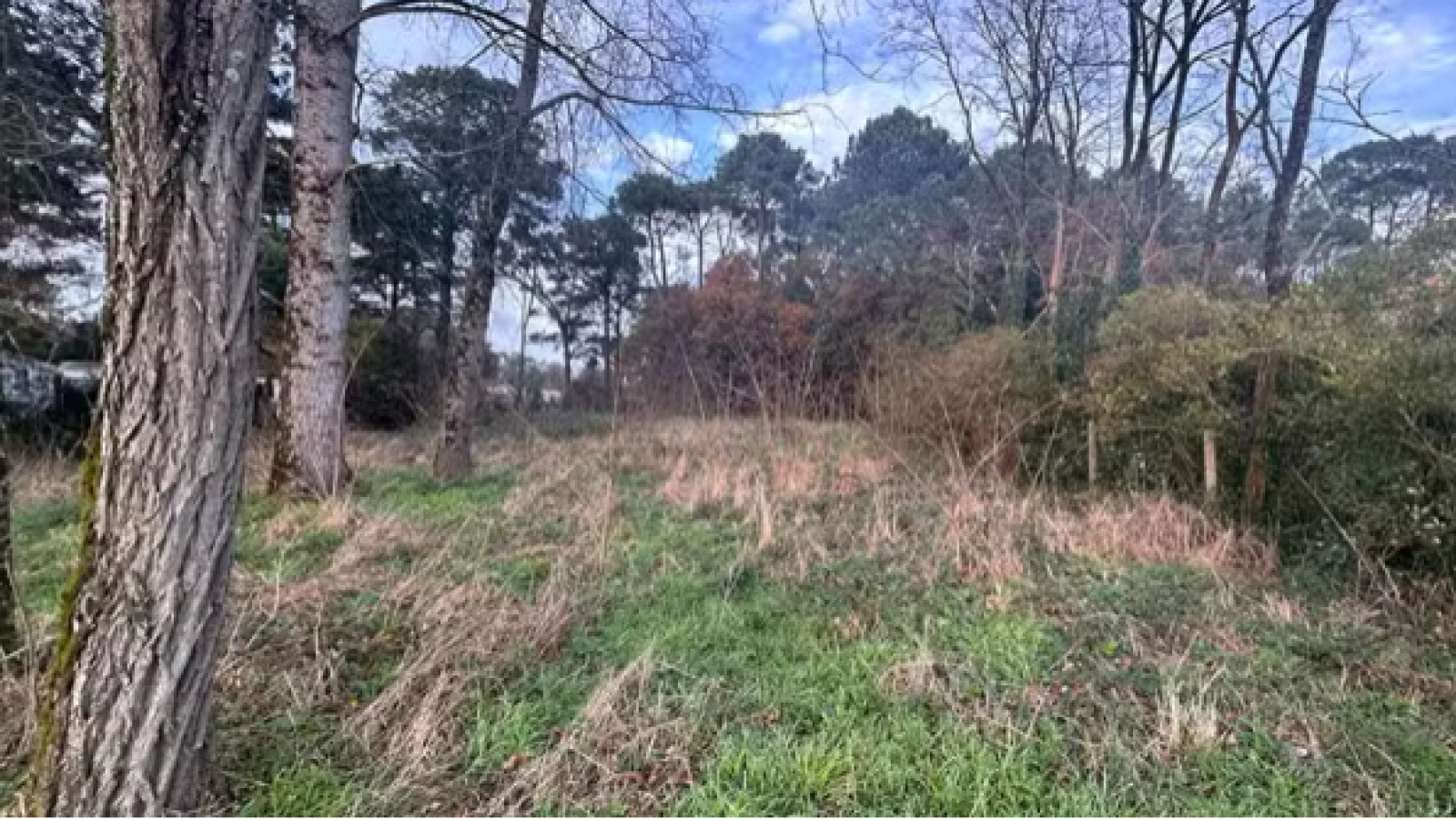 Terrain constructible de 304m2 à Apremont