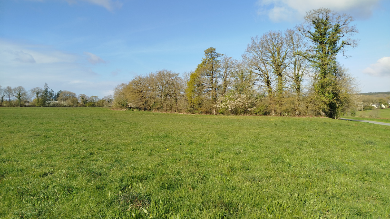 Terrain constructible de 458m2 à Saint-Marc-le-Blanc