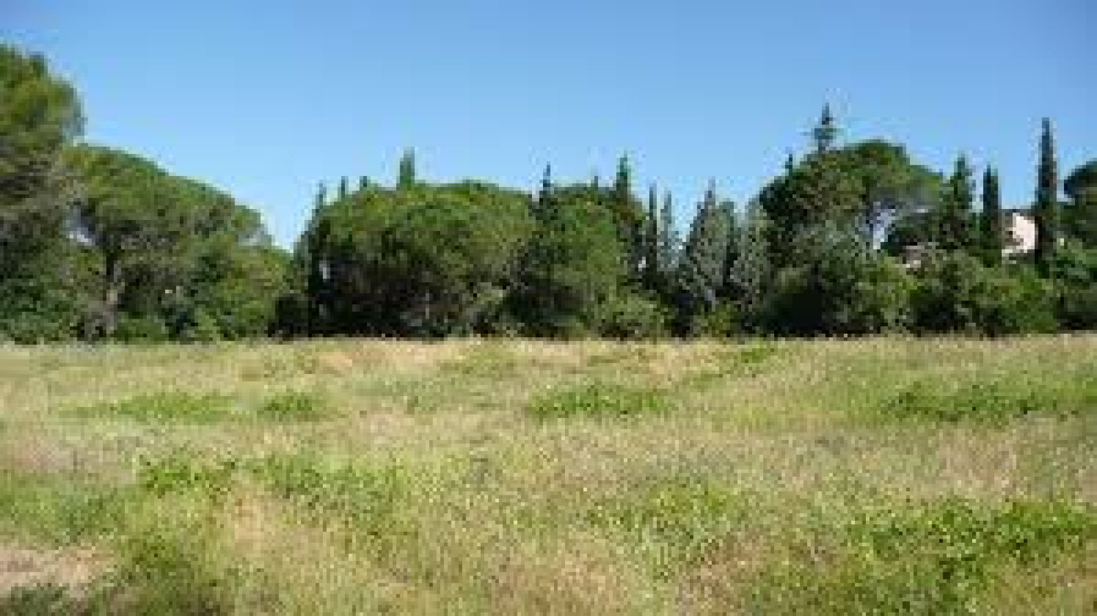 Terrain constructible de 802m2 à Fondettes