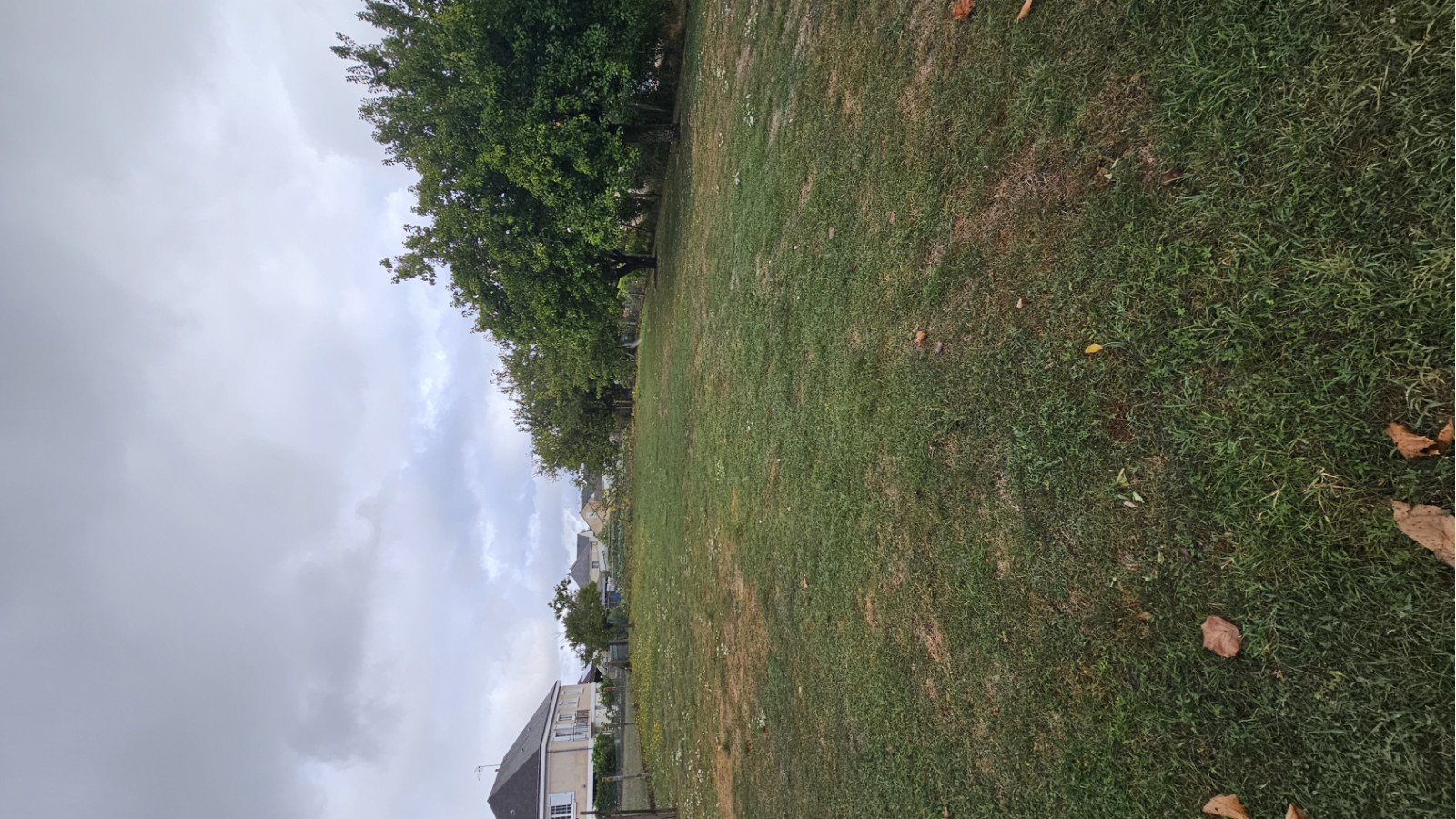 Terrain constructible de 550m2 à Doué-en-Anjou