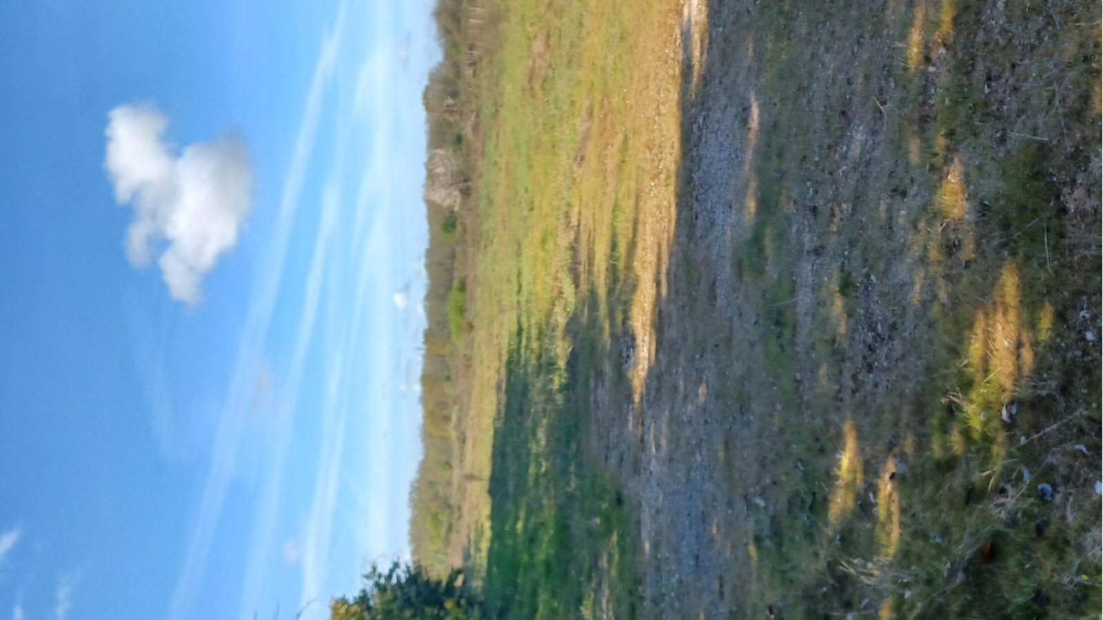 Terrain constructible de 513m2 à Le Verdon-sur-Mer