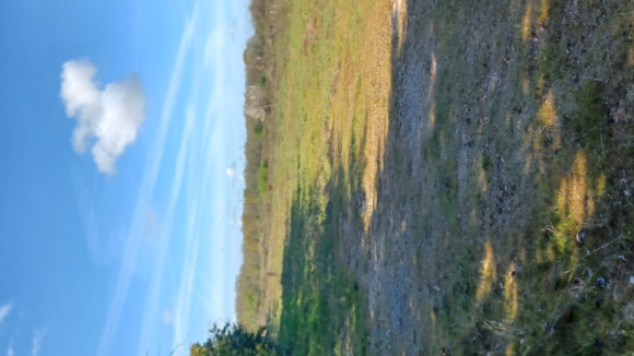 20260326_095350.jpg