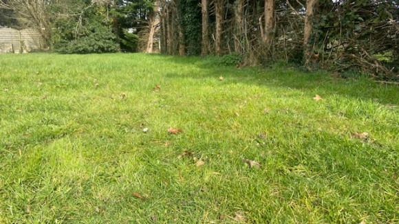 image0(49).jpeg