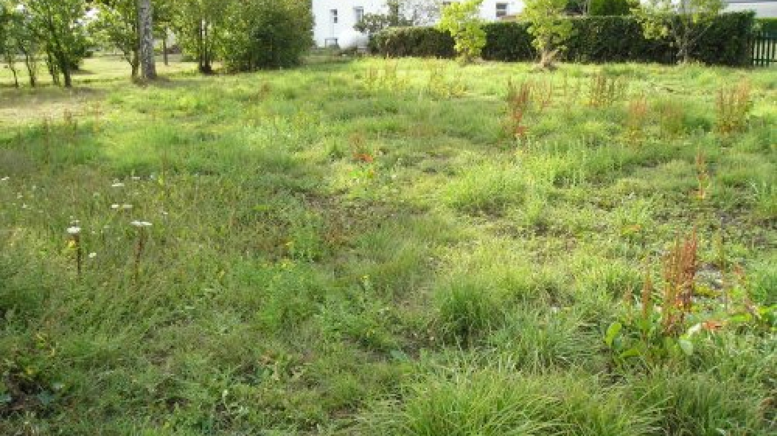 Terrain constructible de 420m2 à Besné