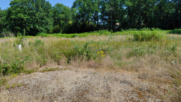 Saint Medrard en Jalles.jpg