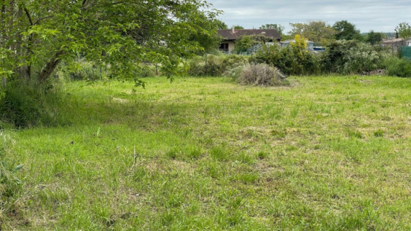 Terrain 8.png
