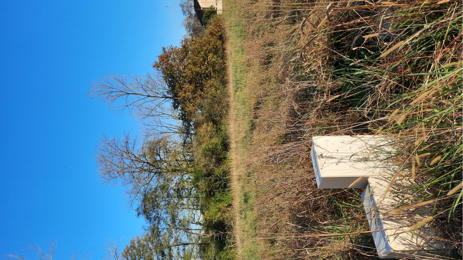 Terrain constructible de 680m2 à Lévignacq