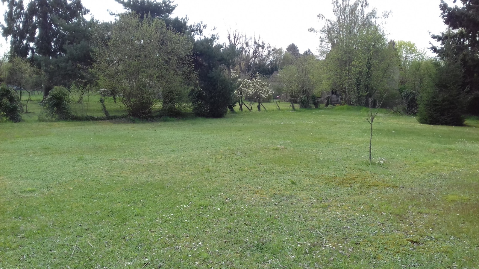 Terrain constructible de 3186m2 à Darvault