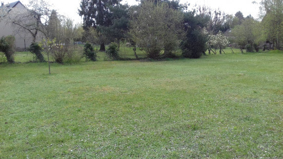 20180416_120129.jpg