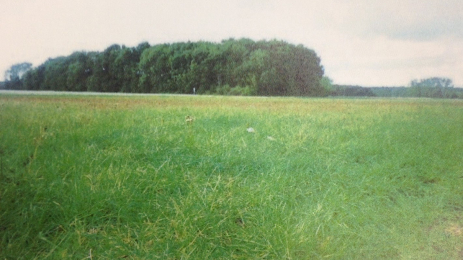 Terrain constructible de 481m2 à Montlouis-sur-Loire