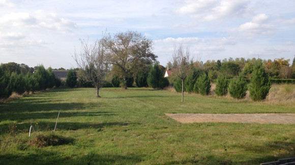 239.JPG