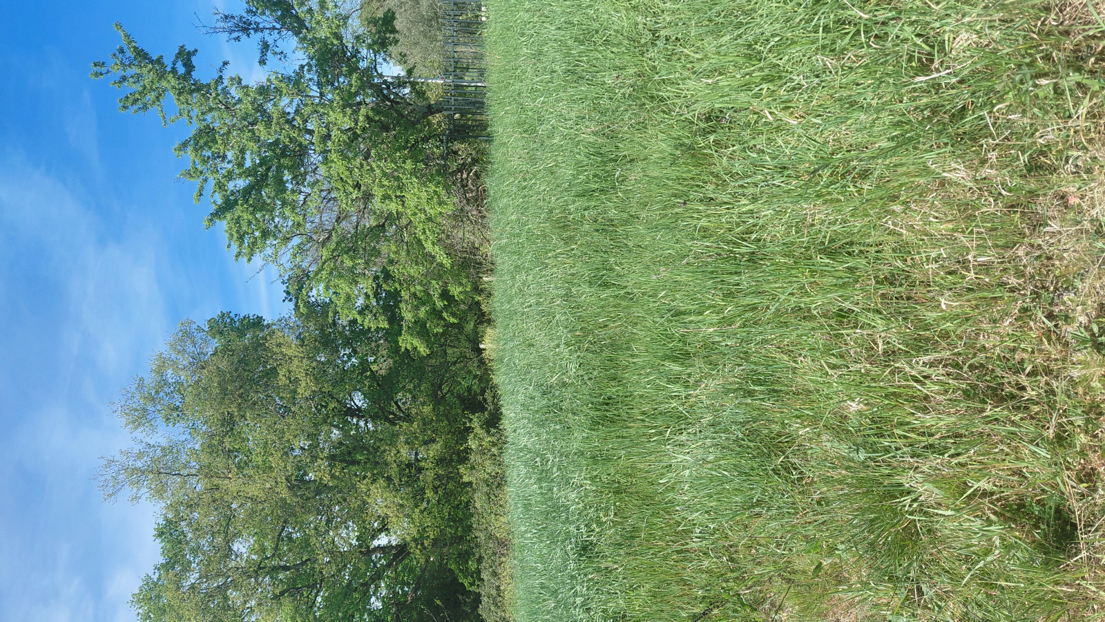 Terrain constructible de 412m2 à Mérignac