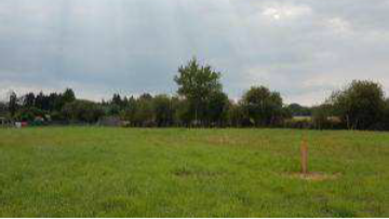 Terrain constructible de 1561m2 à Bouzy-la-Forêt