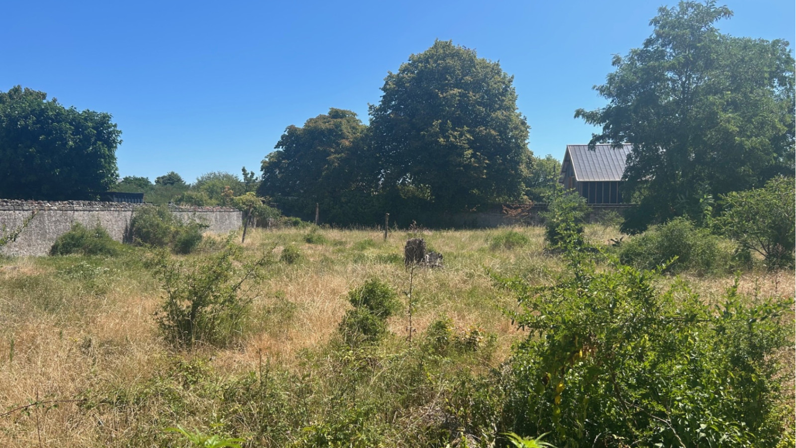 Terrain constructible de 1500m2 à Chinon