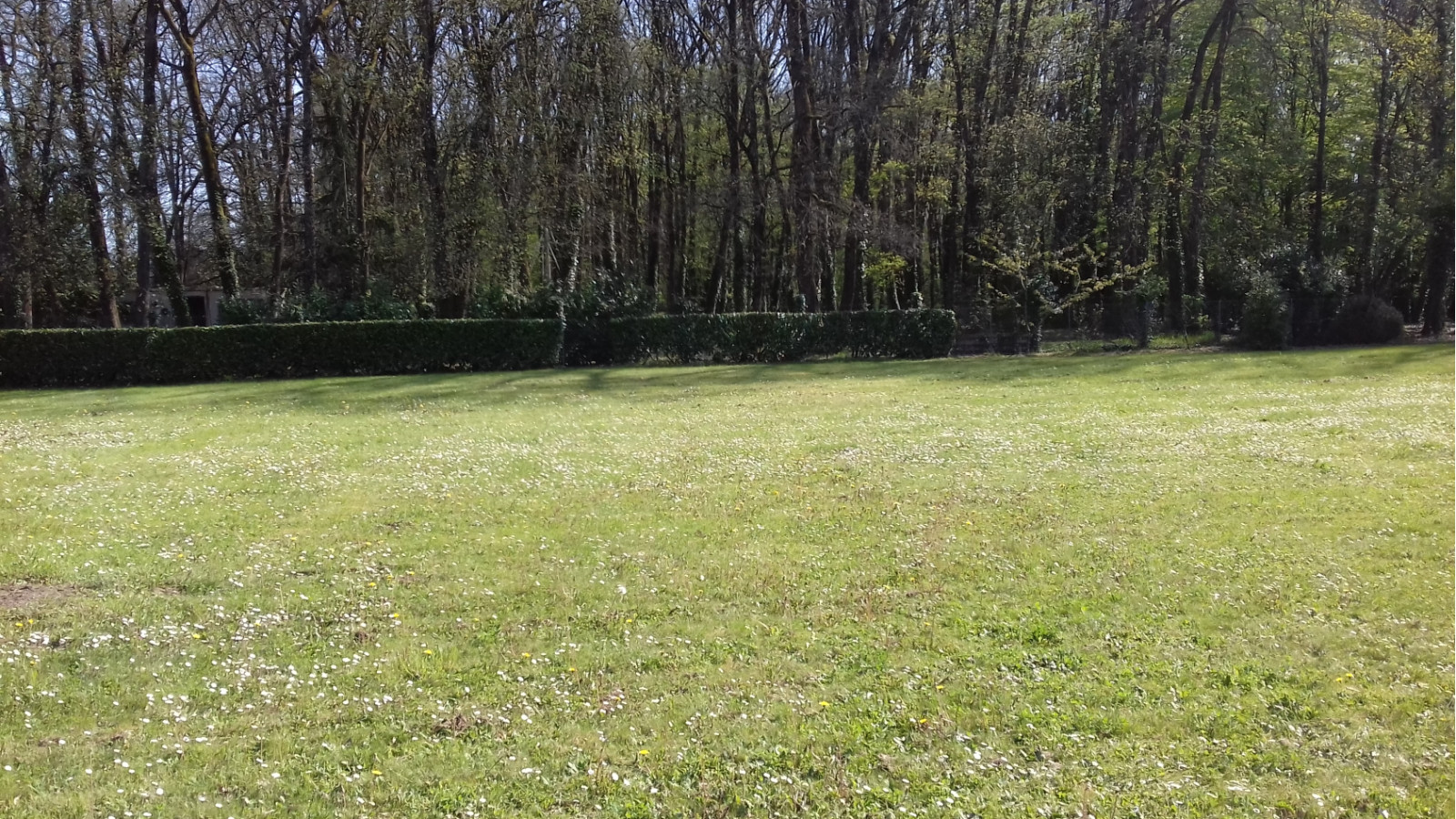 Terrain constructible de 910m2 à Doussay