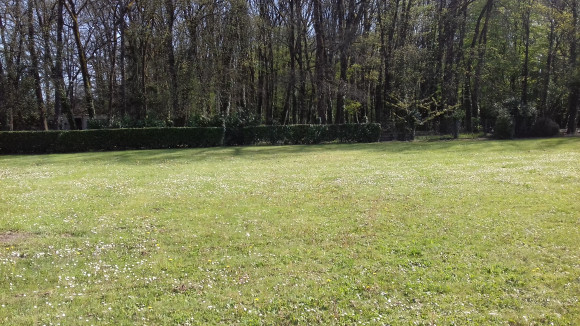 20180419_171634 (2).jpg