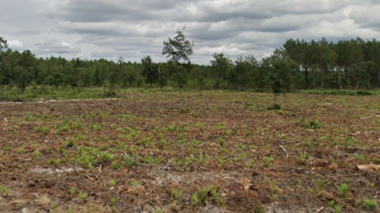 Terrain constructible de 1088m2 à Moliets-et-Maa