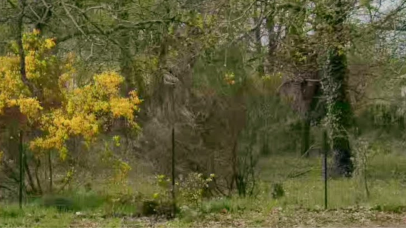 Terrain constructible de 1867m2 à Magescq