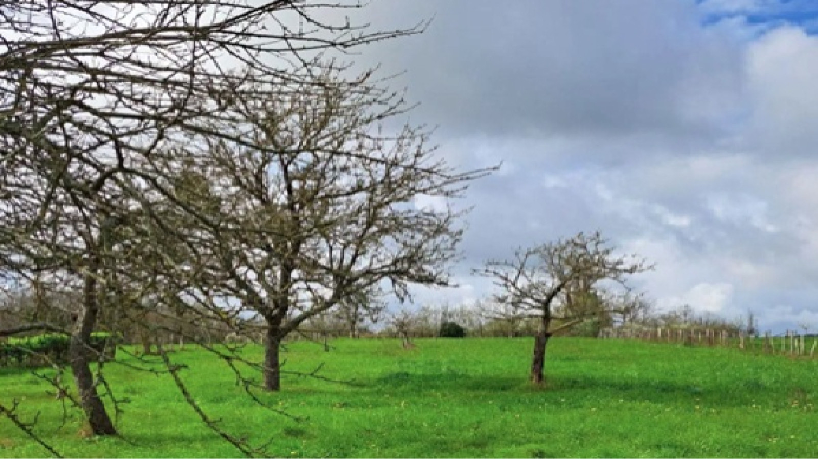 Terrain constructible de 2750m2 à Châtellerault