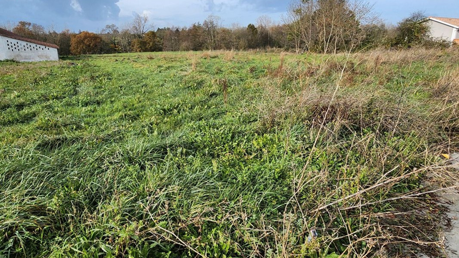 Terrain constructible de 2055m2 à Flaujagues