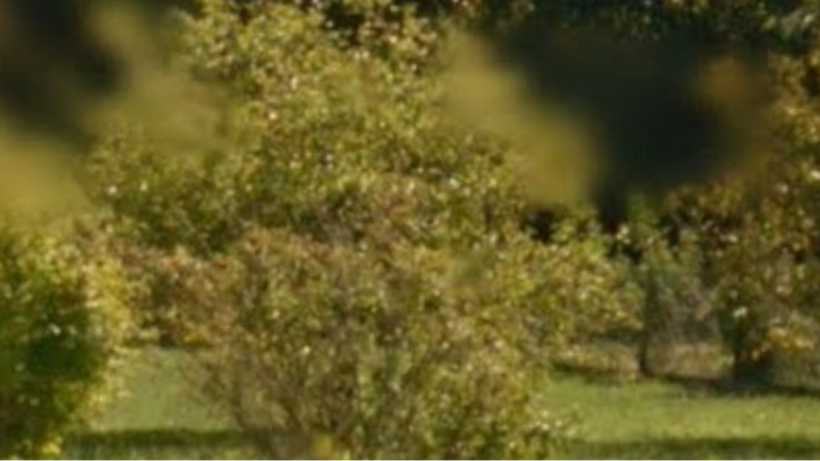 Terrain constructible de 1100m2 à Boucau