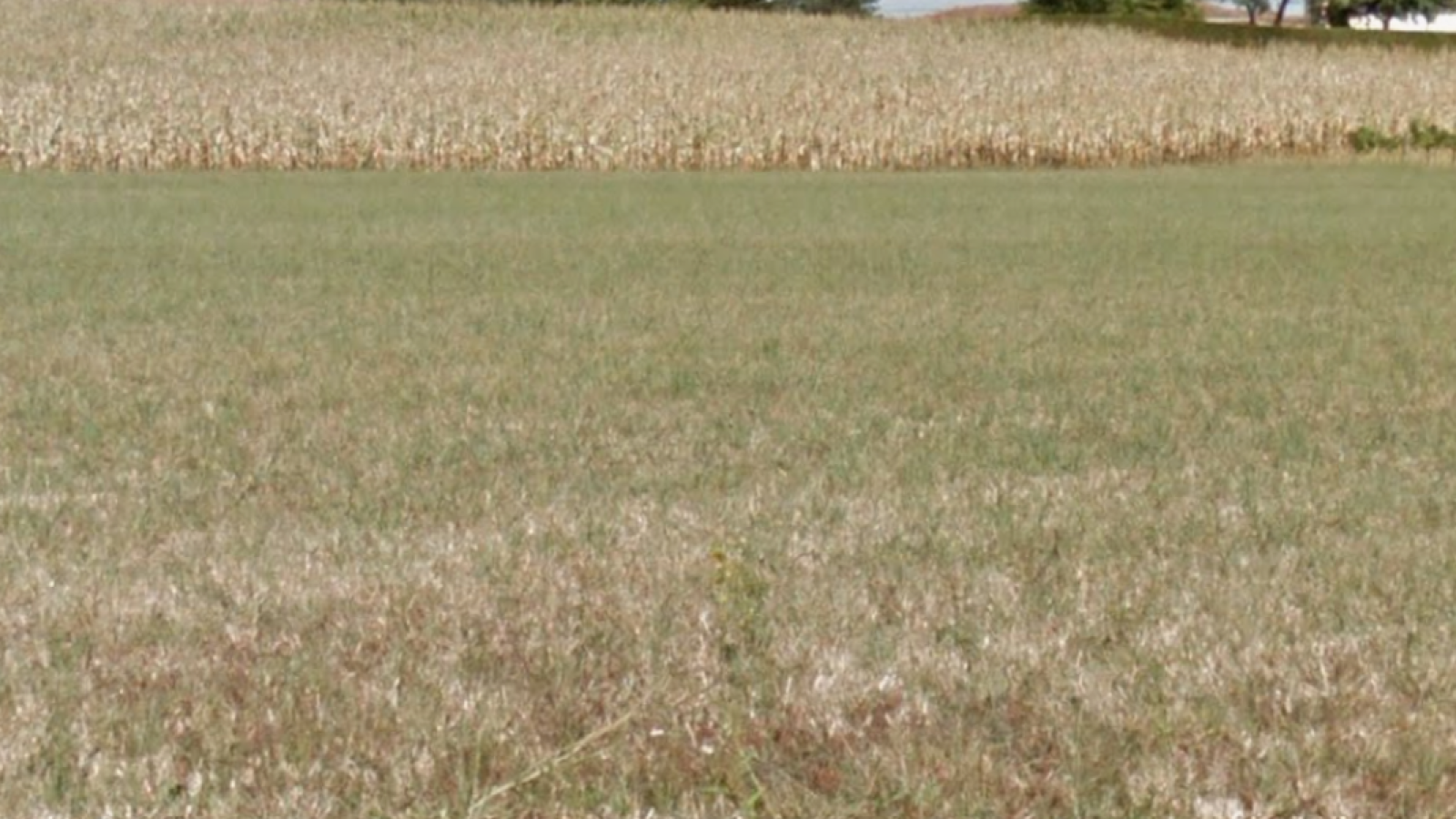 Terrain constructible de 629m2 à Peyrehorade