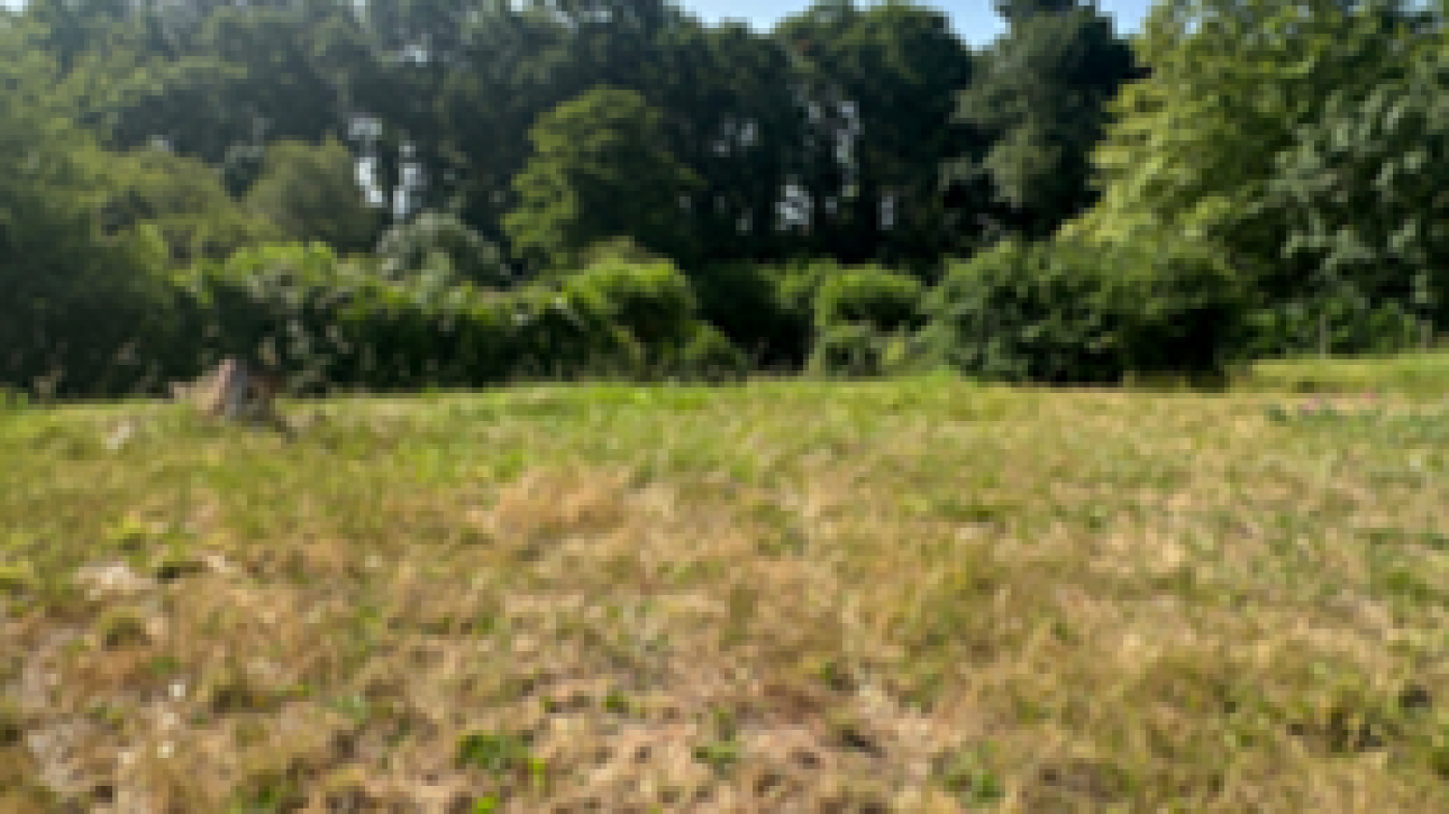 Terrain constructible de 900m2 à Saint-Vincent-de-Tyrosse