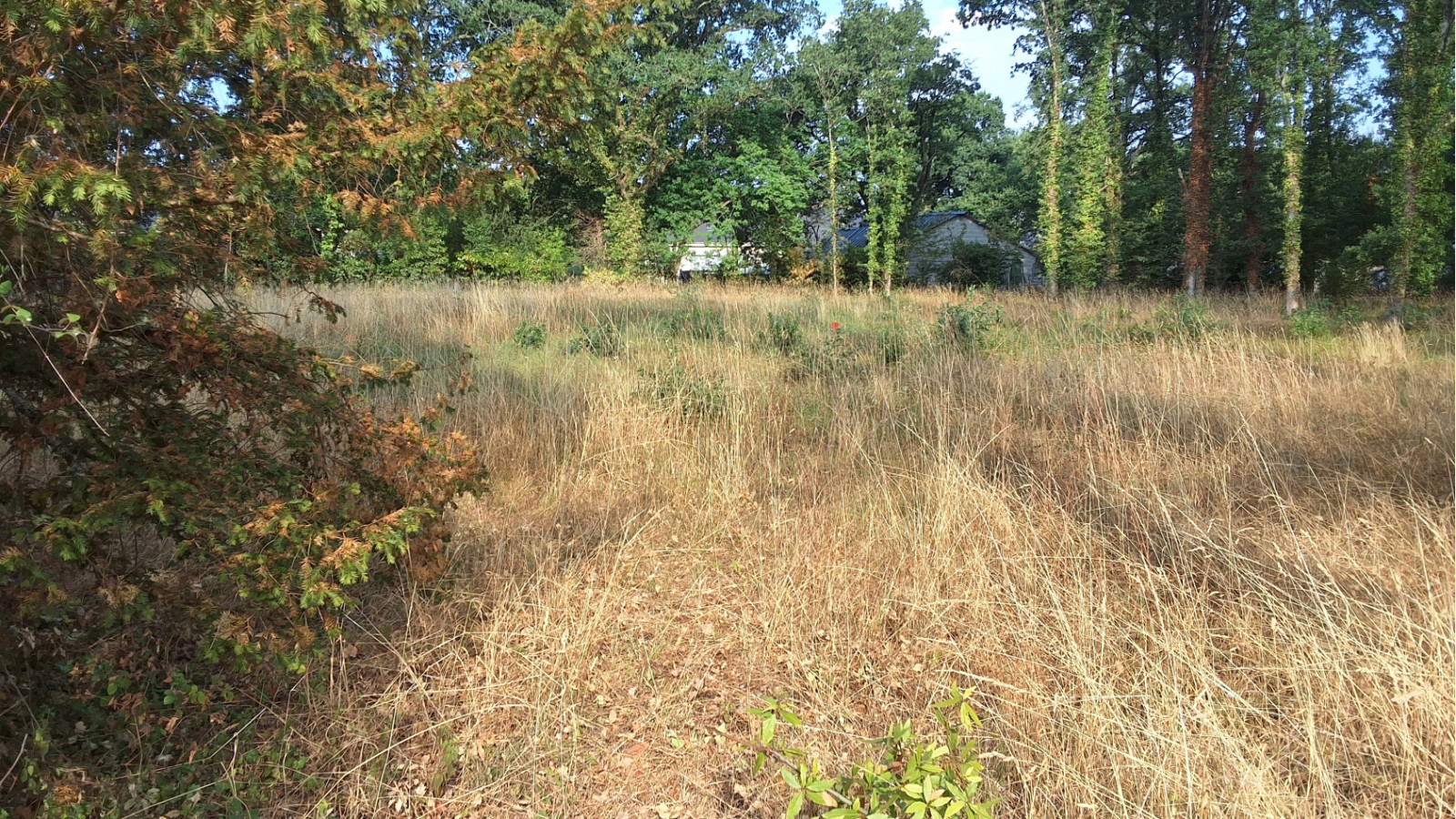 Terrain constructible de 1300m2 à La Chapelle-des-Marais