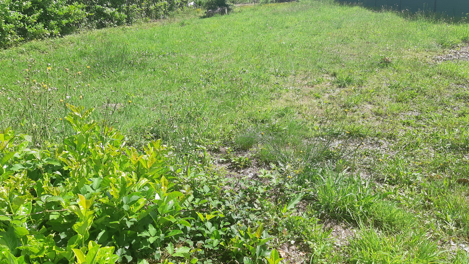Terrain constructible de 410m2 à Besné